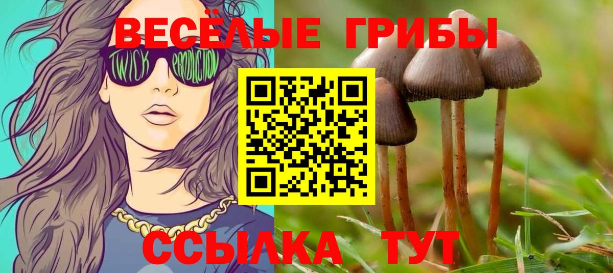 Псилоцибиновые грибы прущие грибы  Вход с VPN  Батайск 
